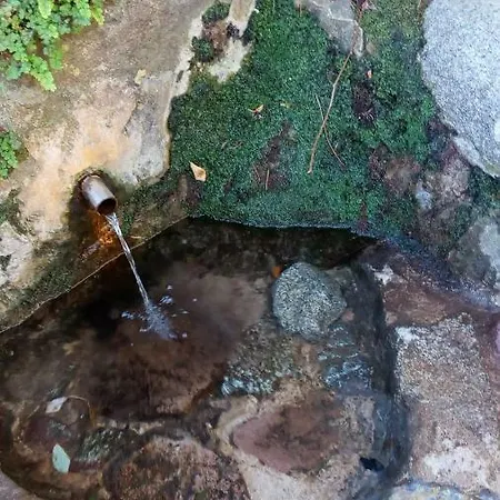Appartamento Rural