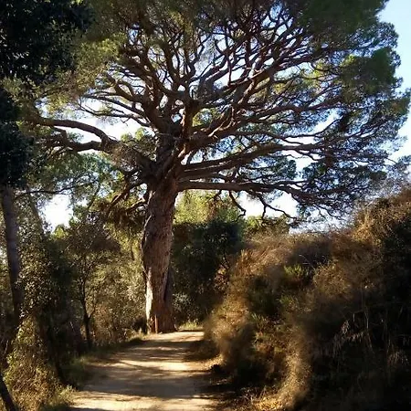 Rural Appartamento *