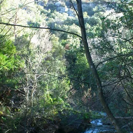 Daire Rural